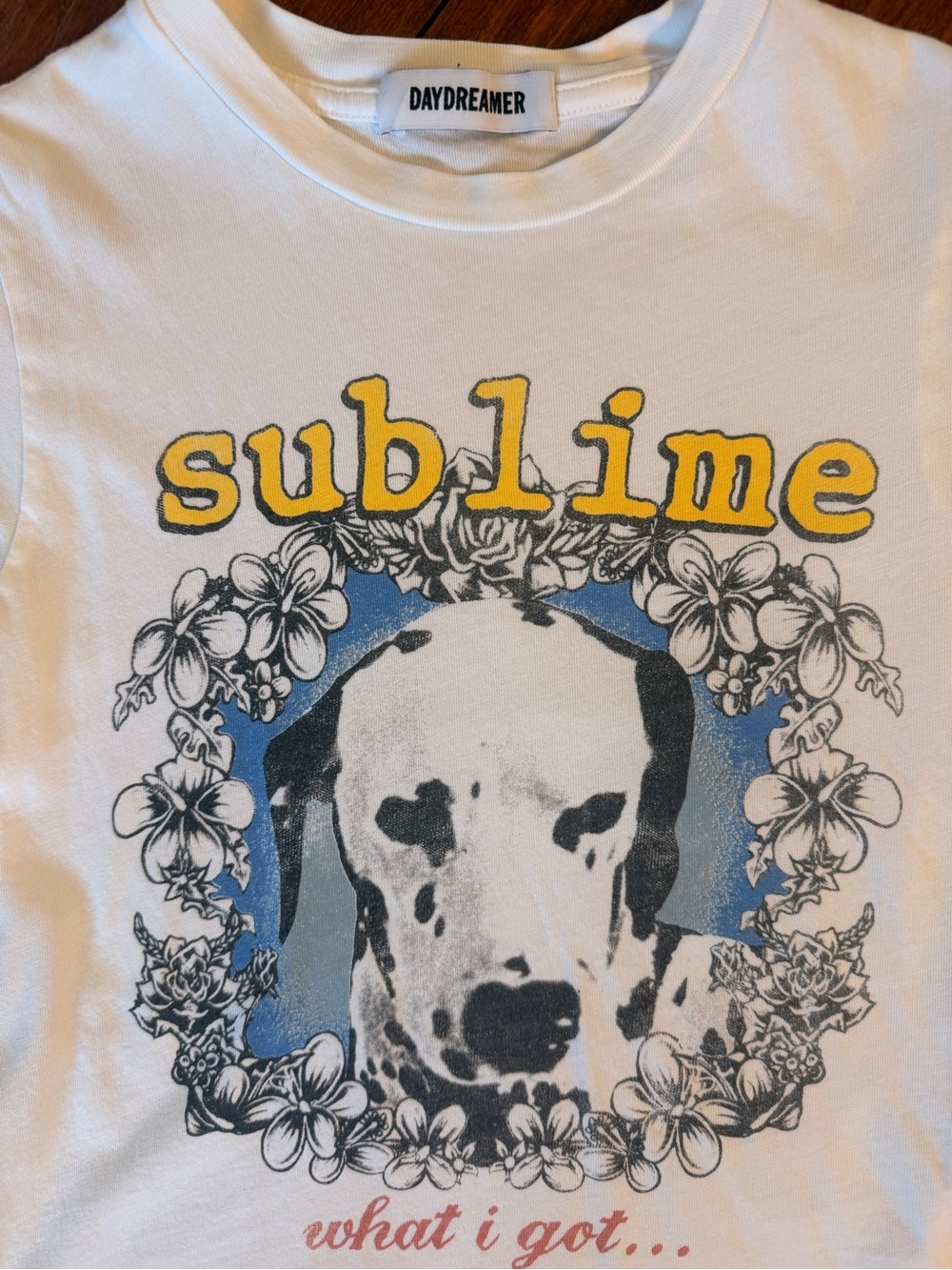 Daydreamer Sublime Graphic Tee Size M